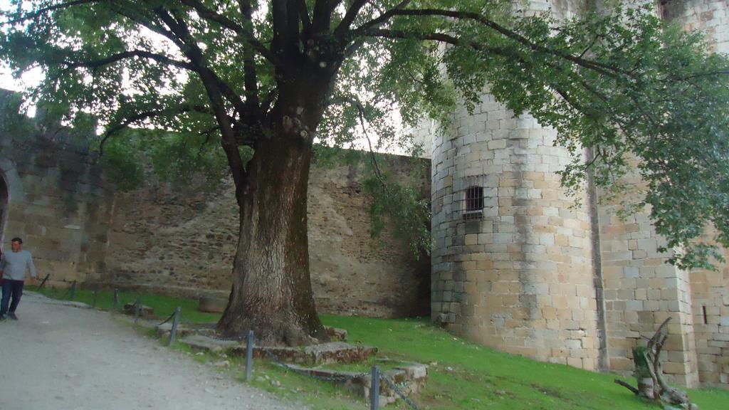 Casas Rurales El Caminante Aldeanueva del Camino Esterno foto